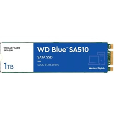 1000GB BLUE SATA  M.2